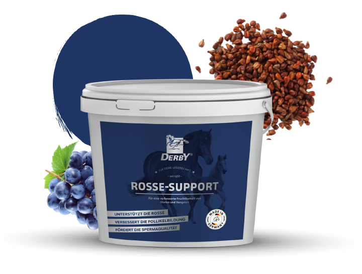 einsatzgebiet zucht futterempfehlung rosse support derby